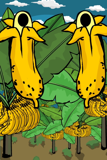 Bananal