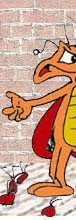 Sapo Brothers, diverso, tiras, humor, games, jogos, animao, anima, quadrinhos, infantil, minja, jones