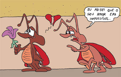 Sapo Brothers, divers�o, tiras, humor, games, jogos, anima��o, anima, quadrinhos, infantil, minja, jones