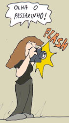 Sapo Brothers, divers�o, tiras, humor, games, jogos, anima��o, anima, quadrinhos, infantil, minja, jones