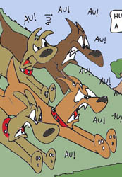 Sapo Brothers, divers�o, tiras, humor, games, jogos, anima��o, anima, quadrinhos, infantil, minja, jones