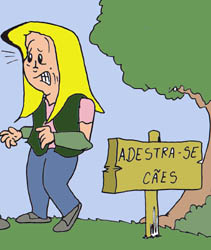 Sapo Brothers, divers�o, tiras, humor, games, jogos, anima��o, anima, quadrinhos, infantil, minja, jones